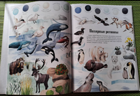 Цвета окружающего мира / Яна Седлачкова, Штепанка Сэканинова Printed books Фолиант