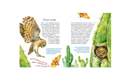 Птички-невелички. Н. Габеева Printed books Настя и Никита