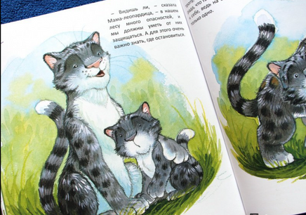 Почему я боюсь? Хейди Ховарт. Серия "Что меня беспокоит?" Printed books Фолиант