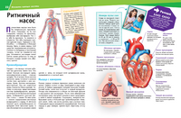 Человек. Взгляд внутрь Printed books Эксмо