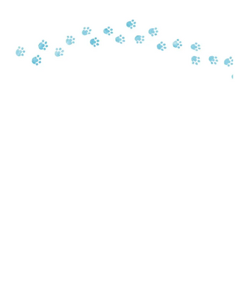 Шерлок Кот. КОТострофический снежный монстр Printed books Вилли Винки