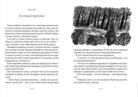 Исчисляя звезды Printed books Волчок