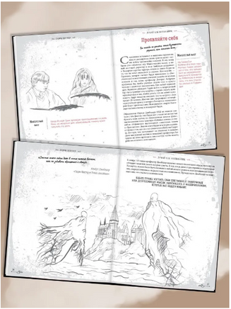 Что бы сделал Гарри Поттер? Уроки жизни от лучших магов мира Printed books Капитал