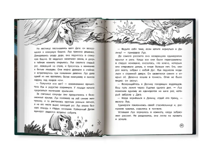 Долина говорящих водопадов. Серия Дети читают Printed books Феникс-Премьер