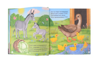 Загадки - рифмы. Подарочное издание Printed books Робинс