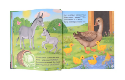 Загадки - рифмы. Подарочное издание Printed books Робинс