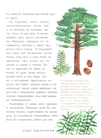 Сахалин. Самый большой остров в России Printed books Настя и Никита