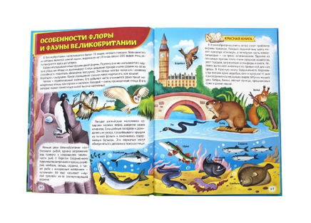 Атлас животных для детей, 5+. Скворцова А. Printed books Проф Пресс
