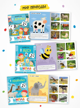 Школа Семи Гномов. Годовой базовый курс. Комплект 2+ Printed books Мозаика-Синтез