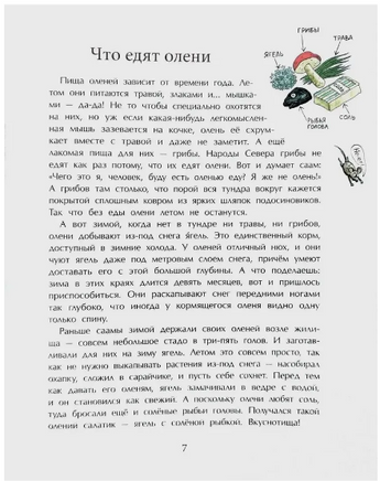 Вот ты какой, северный олень! Printed books Настя и Никита