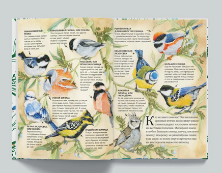 Воробьи и Синицы - любимые птицы. Факты о птицах Printed books 40 Книг