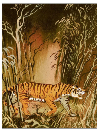 Почему так много "почему". Сказки о природе. Юрий Дружков Printed books Лаборатория знаний