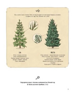 Елка и ее родственники Printed books Абраказябра