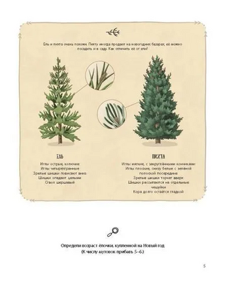 Елка и ее родственники Printed books Абраказябра