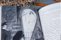 Исчисляя звезды Printed books Волчок