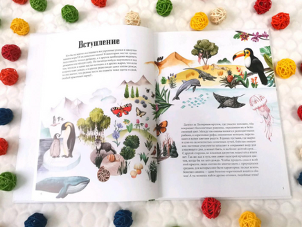 Цвета окружающего мира / Яна Седлачкова, Штепанка Сэканинова Printed books Фолиант