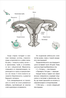 Как меняется мое тело. Все, что нужно знать мальчикам о перех.возрасте Printed books Росмэн