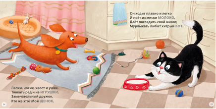 Загадки - рифмы. Подарочное издание Printed books Робинс