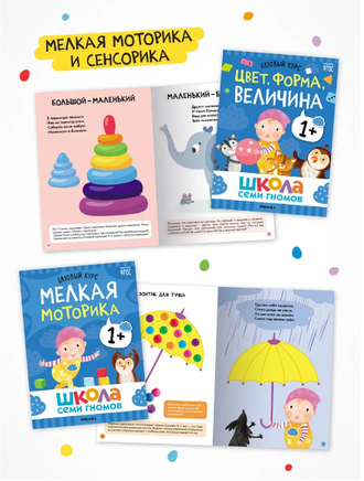Школа Семи Гномов. Годовой базовый курс. Комплект 1+ Printed books Мозаика-Синтез