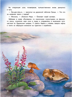 Приключения мышонка Недо на Ладоге. Географические сказки Printed books Питер