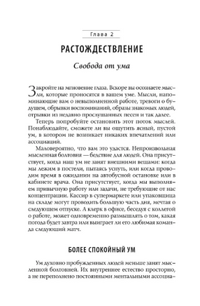 Приключение: Практическое руководство к духовному пробуждению. Стив Тейлор Printed books София