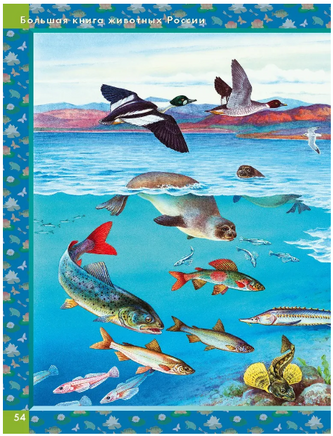Родная природа. Кто живёт на просторах России Printed books Хоббитека