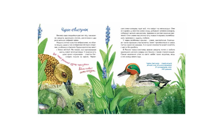 Птички-невелички. Н. Габеева Printed books Настя и Никита