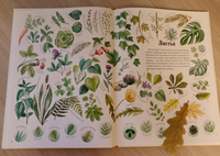 Формы и узоры природы / Яна Седлачкова, Штепанка Сэканинова Printed books Фолиант