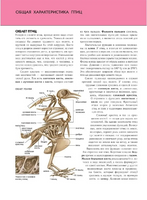 Птицы. Полная энциклопедия Printed books Эксмо