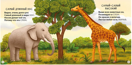 Загадки - рифмы. Подарочное издание Printed books Робинс