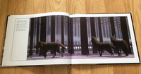 Полярный экспресс. Ван Олсбург К. Printed books Карьера Пресс