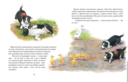 Детям. Рассказы о животных. Хэрриот Джеймс Printed books МАХАОН