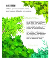 Как зовут твое дерево? Printed books Абраказябра