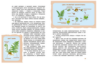 Растения и грибы. Детская энциклопедия Printed books МИФ