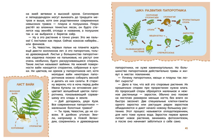 Растения и грибы. Детская энциклопедия Printed books МИФ