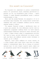 Сахалин. Самый большой остров в России Printed books Настя и Никита