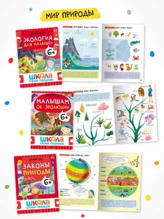 Школа Семи Гномов. Годовой базовый курс. Комплект 6+ Printed books Мозаика-Синтез