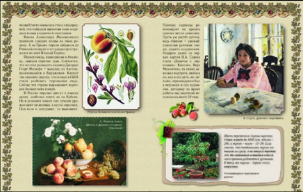 Прогулки по саду Printed books Белый город