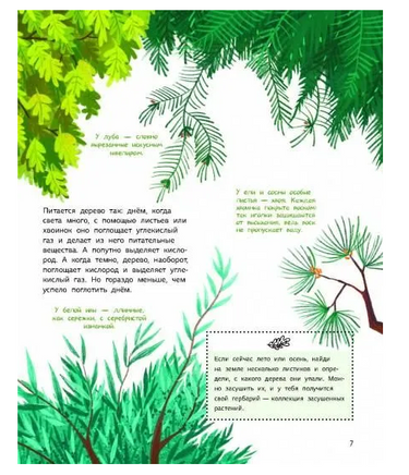 Как зовут твое дерево? Printed books Абраказябра