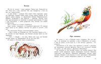 Не кормить и не дразнить! Рисунки В. Цепиловой. Востоков С Printed books АСТ