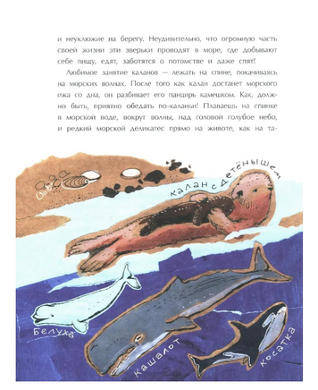 Сахалин. Самый большой остров в России Printed books Настя и Никита