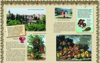 Прогулки по саду Printed books Белый город