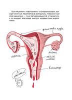Месячные: твое личное приключение! Print Books Самокат