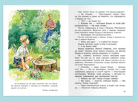 Крапивин В. Оруженосец Кашка Printed books Омега