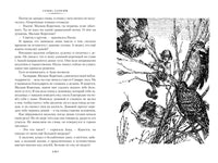 Удивительное путешествие Нильса с дикими гусями. Большие книги Printed books Азбука