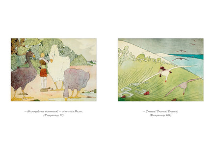Удивительное путешествие Нильса с дикими гусями. Большие книги Printed books Азбука