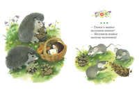 Кошки-мышки. Странички-невелички Printed books Речь