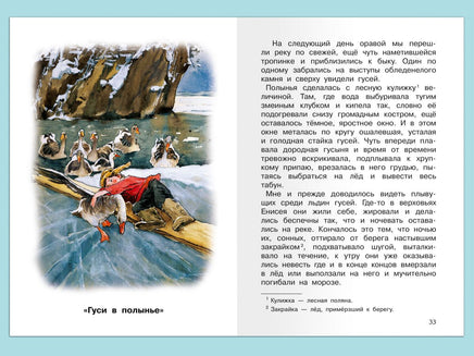 Астафьев В. Стрижонок Скрип Printed books Омега