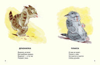 Посмотрите какие котята. Матвеев В. Странички-невелички Printed books Речь