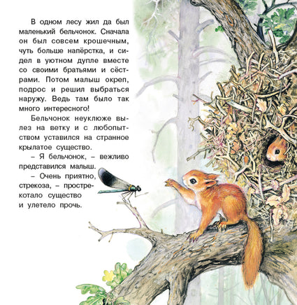 Приключения бельчонка Printed books Фламинго